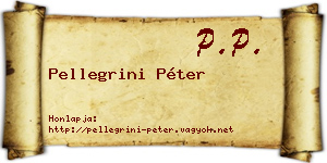 Pellegrini Péter névjegykártya