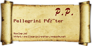 Pellegrini Péter névjegykártya